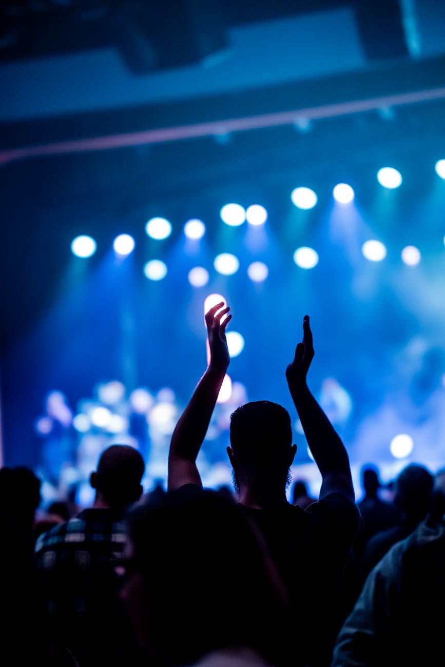 concert crowd enjoying live music performance